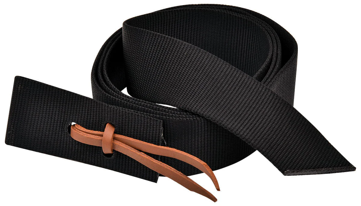 Jeffers Nylon Cinch Tie Strap