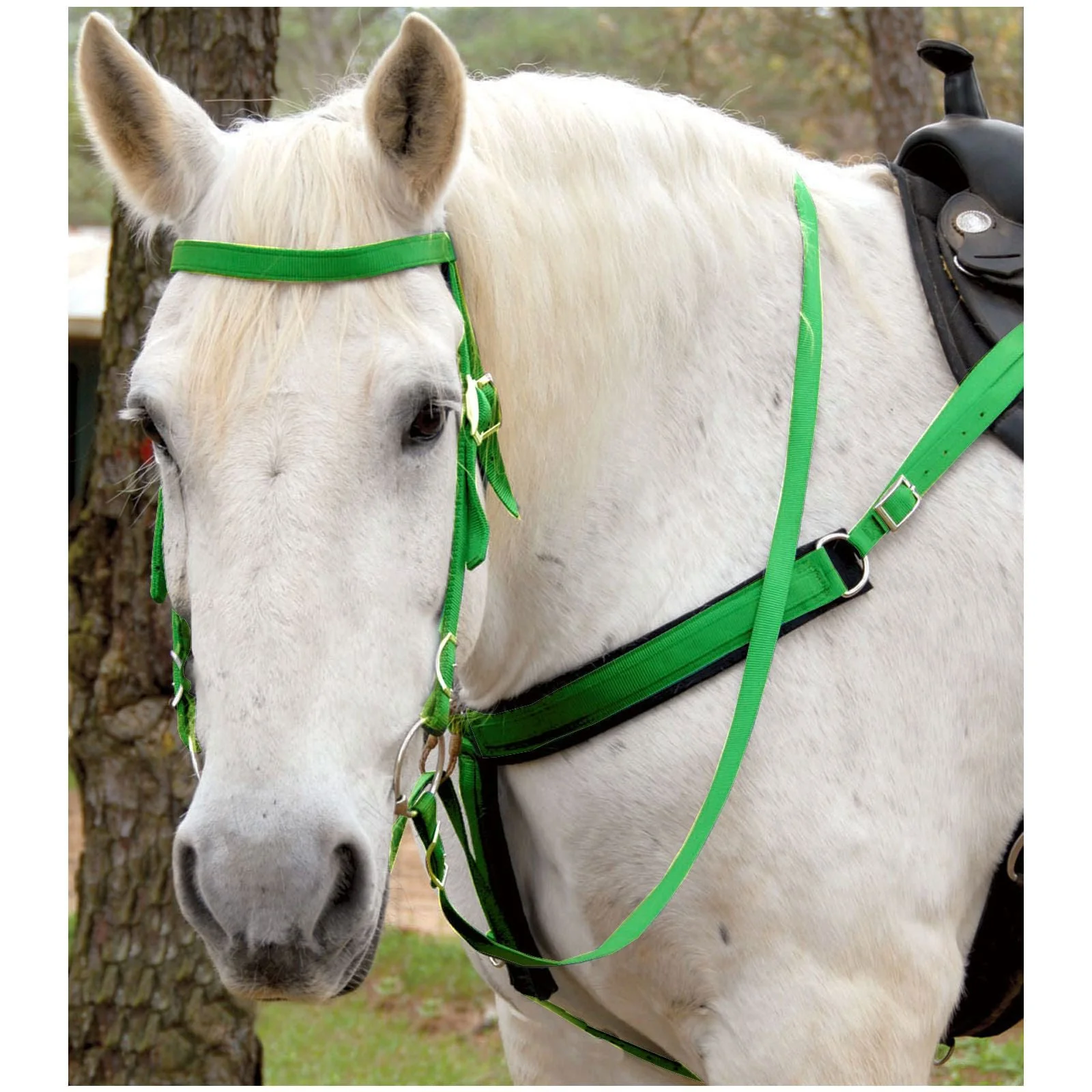 Triple E Nylon Draft Horse Bridle with Bit & Reins - Image 2