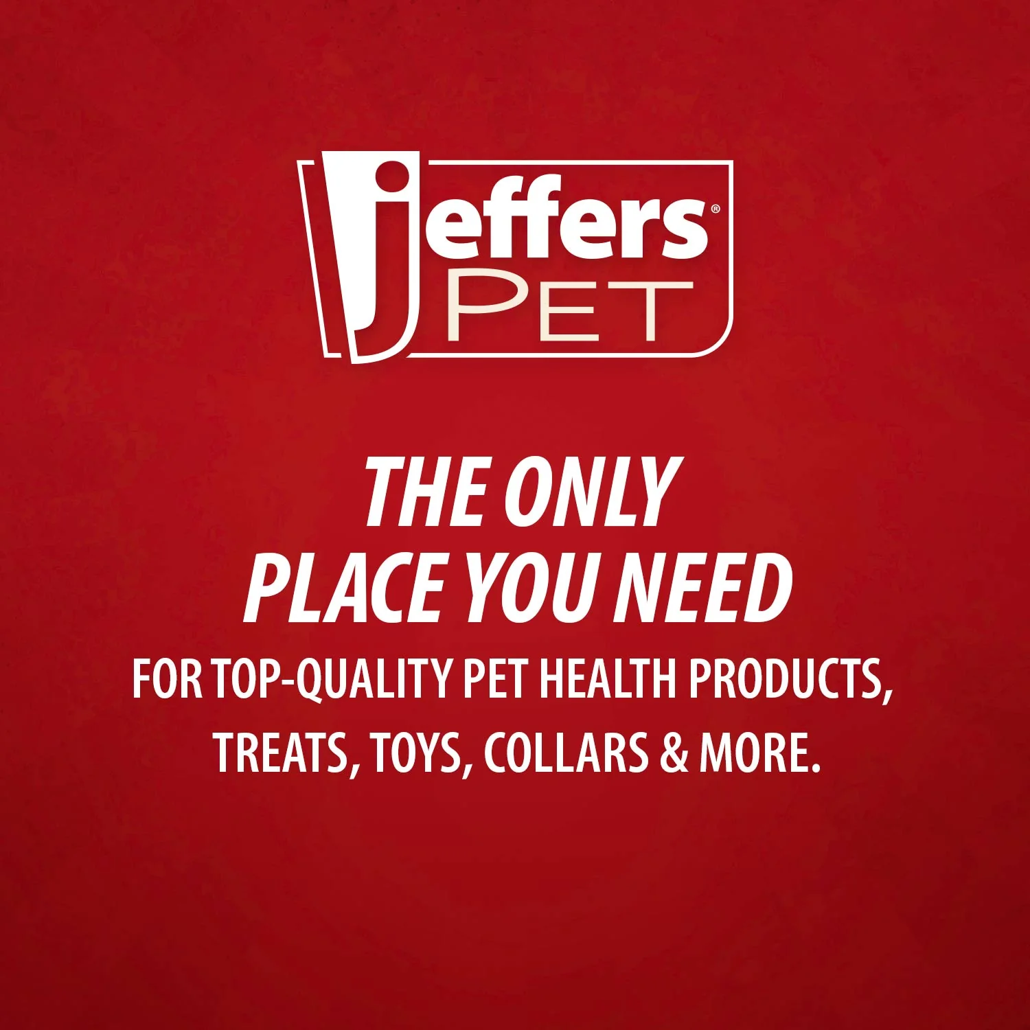 Jeffers Floating Natural Rubber Dog Chew Toy with Vanilla Scent for Dental Health and Water Play - Image 17