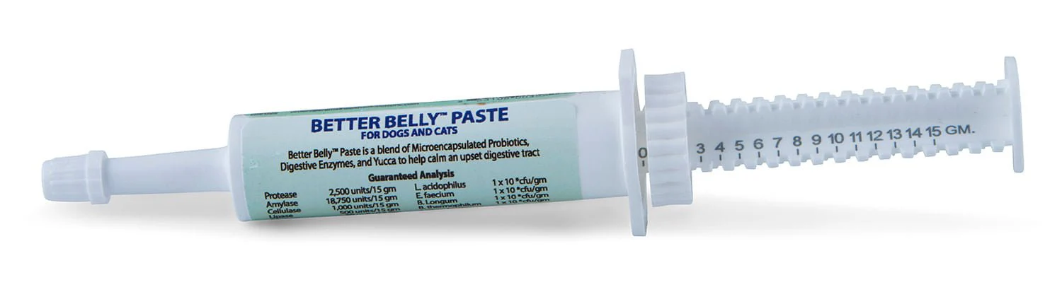 Prothrive Better Belly Probiotic Paste for Dogs & Cats, 15 gm
