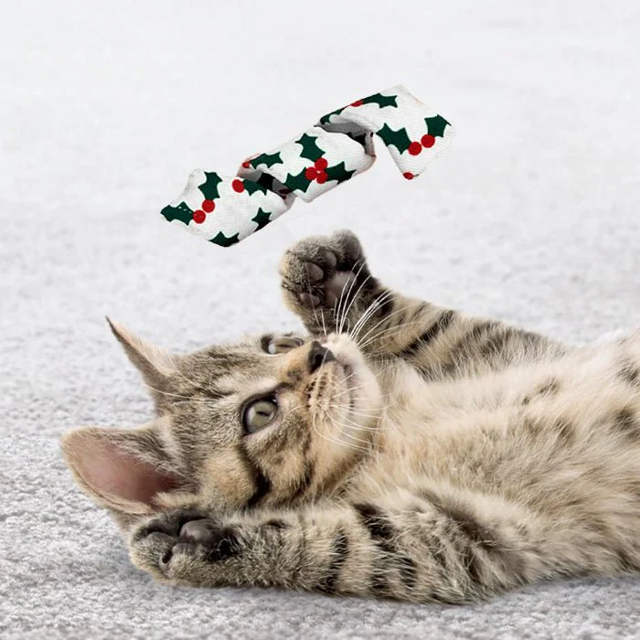 Kong Holiday Cat Active Curlz with Catnip, Assorted, 2-pk - Image 3