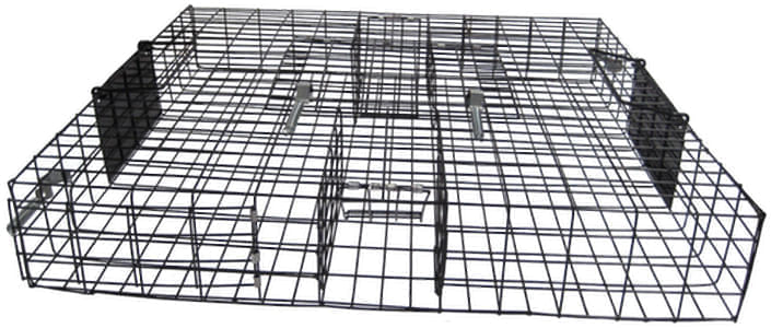 The Squirrelinator Squirrel Trap - Image 10