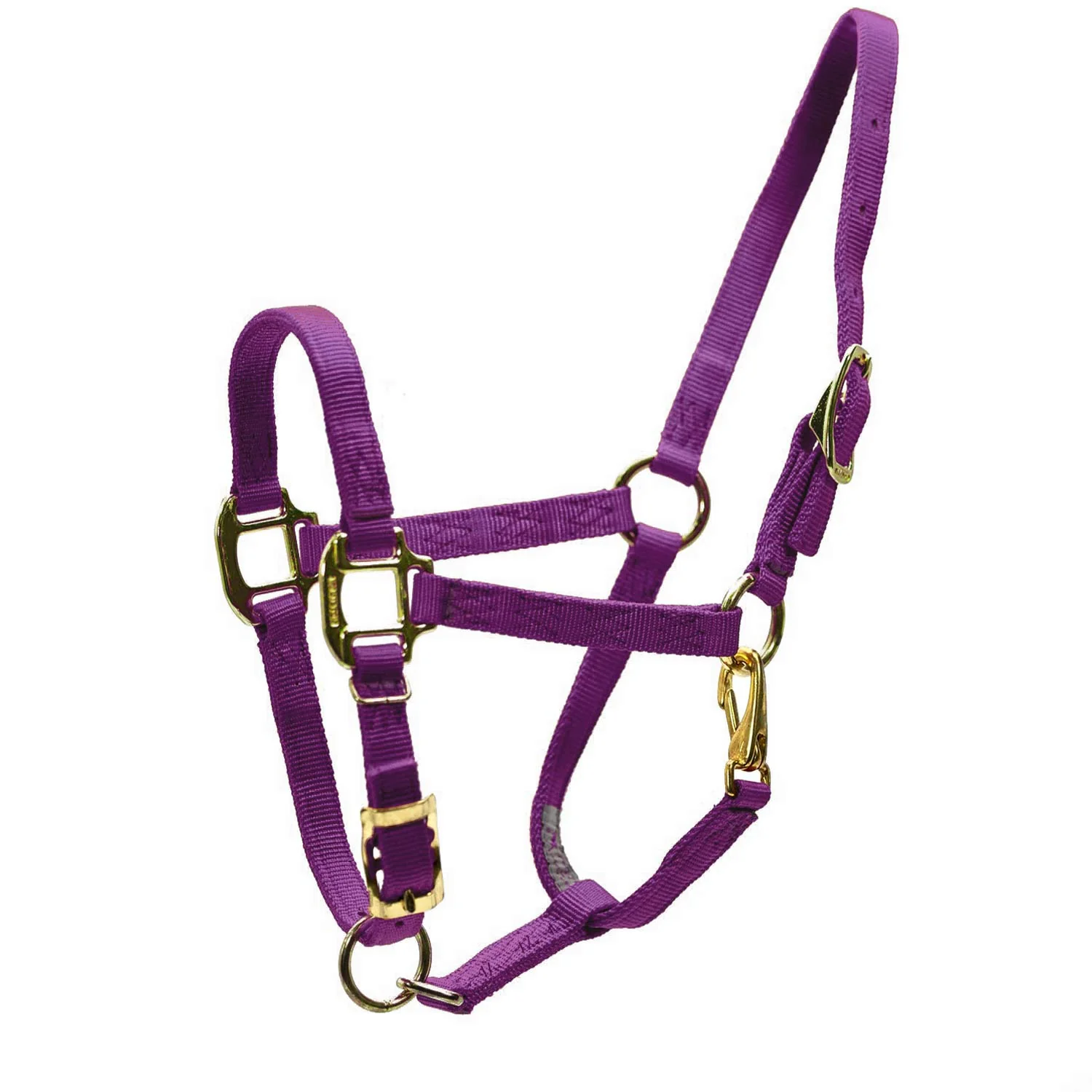 Adjustable Miniature Horse Halter with Throat Snap - 3/4" Nylon