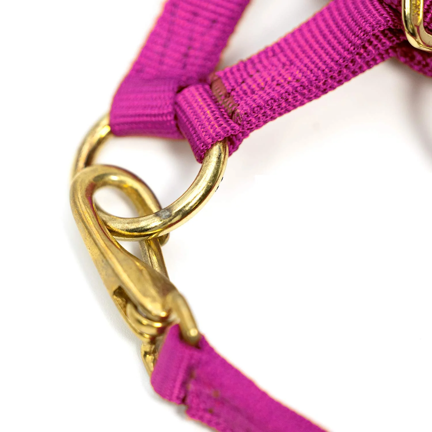 3/4" Adjustable Nylon Horse Chin Halter with Throat Snap with Brass Hardware - Image 4