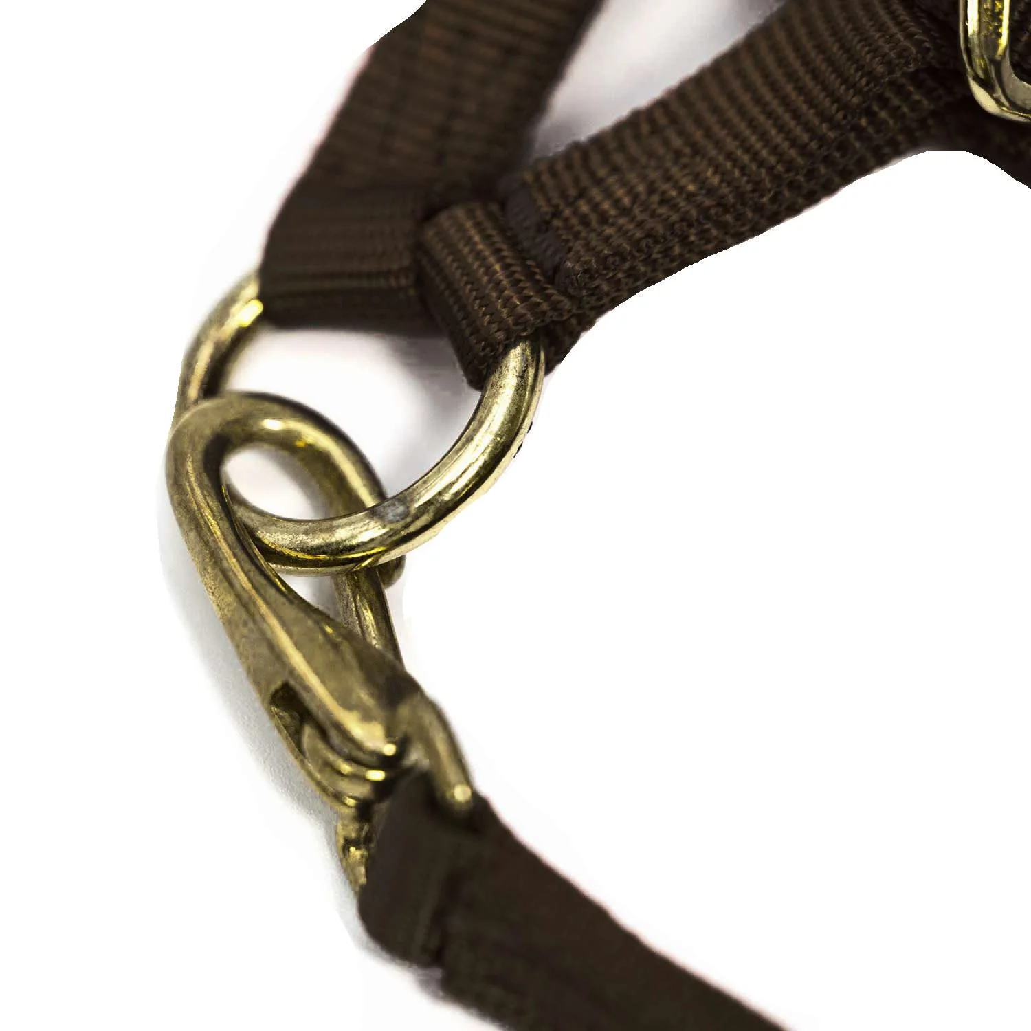 3/4" Adjustable Nylon Horse Chin Halter with Throat Snap with Brass Hardware - Image 6