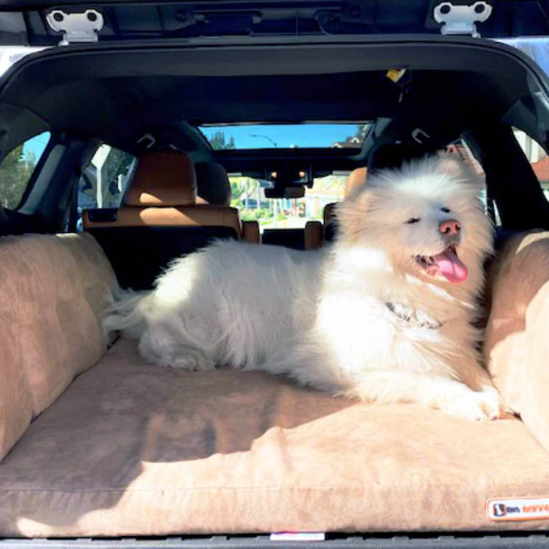 Big Barker 3" Thick SUV Dog Bed – Orthopedic, Waterproof, Large Breed Travel Dog Bed with Joint Support - Image 10