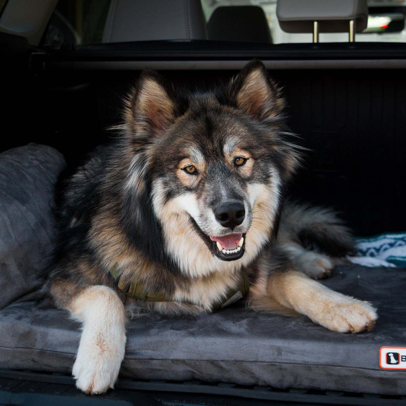 Big Barker 3" Thick SUV Dog Bed – Orthopedic, Waterproof, Large Breed Travel Dog Bed with Joint Support - Image 8