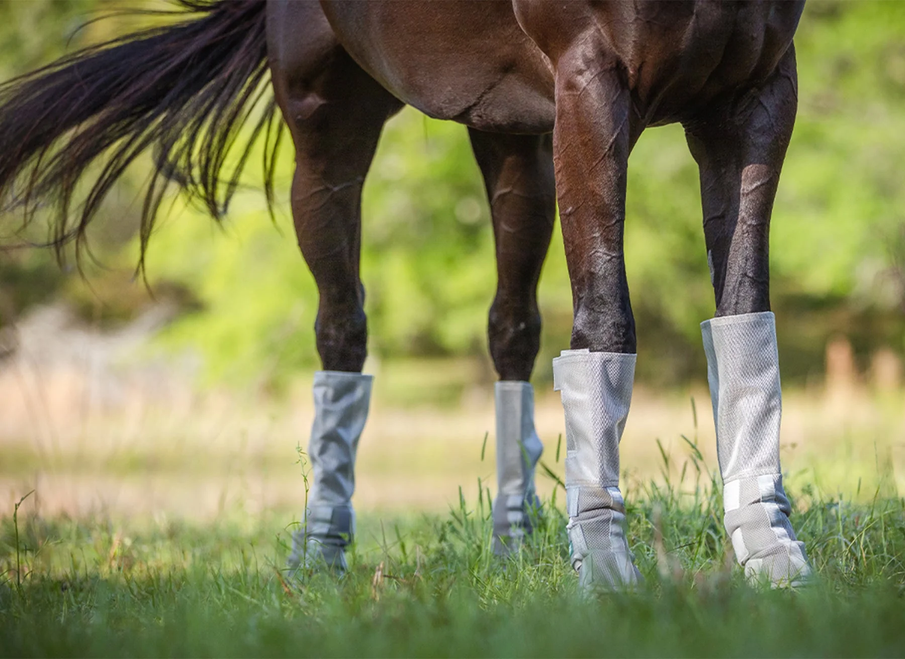Rambo 4-pk Tech-Fit Horse Fly Boots - Image 3