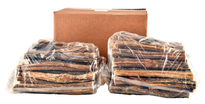 6" Bully Sticks for Dogs by QT Dog - Image 10