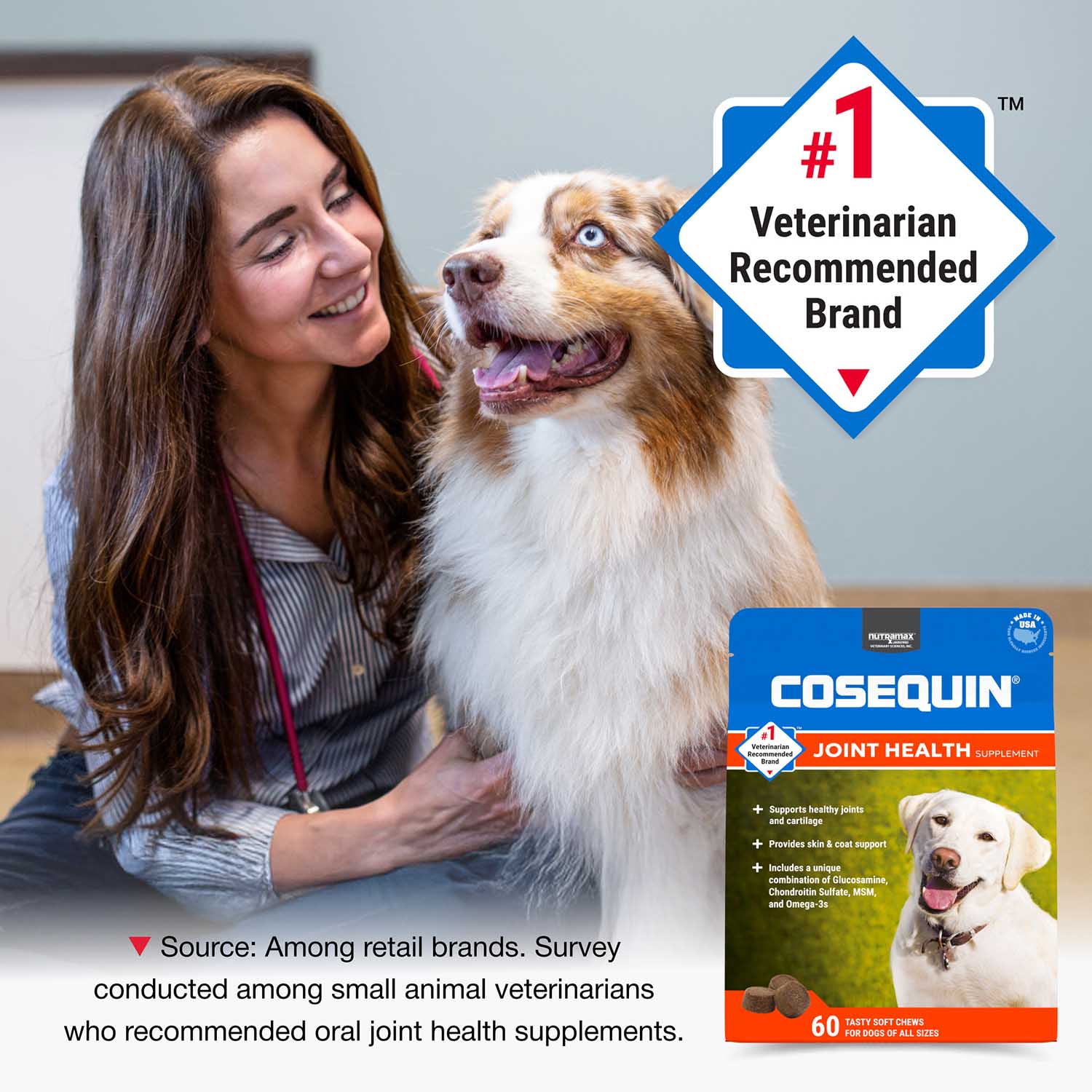 Nutramax Cosequin Joint Health Supplement for Dogs - With Glucosamine, Chondroitin, MSM, and Omega-3's - Image 3