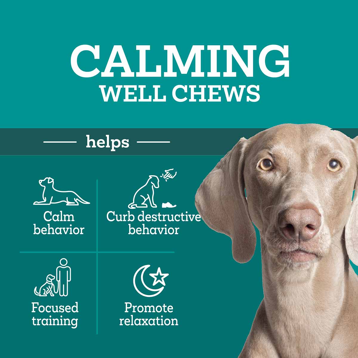 Triple Action Calming Sniffer Soft Chews for Dogs, 60 ct - Image 5