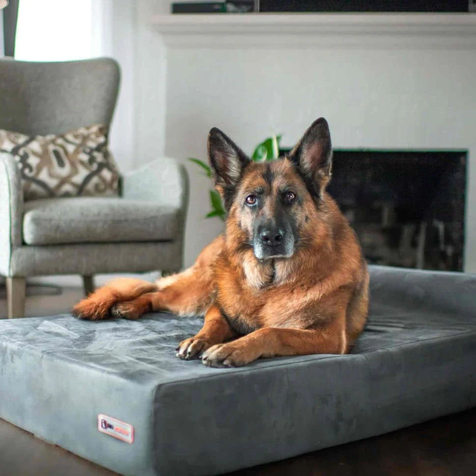 Big Barker 7" Thick Headrest Dog Bed – Orthopedic Foam Bed for Large & Giant Breed Dogs, Vet Recommended, Machine Washable - Image 17