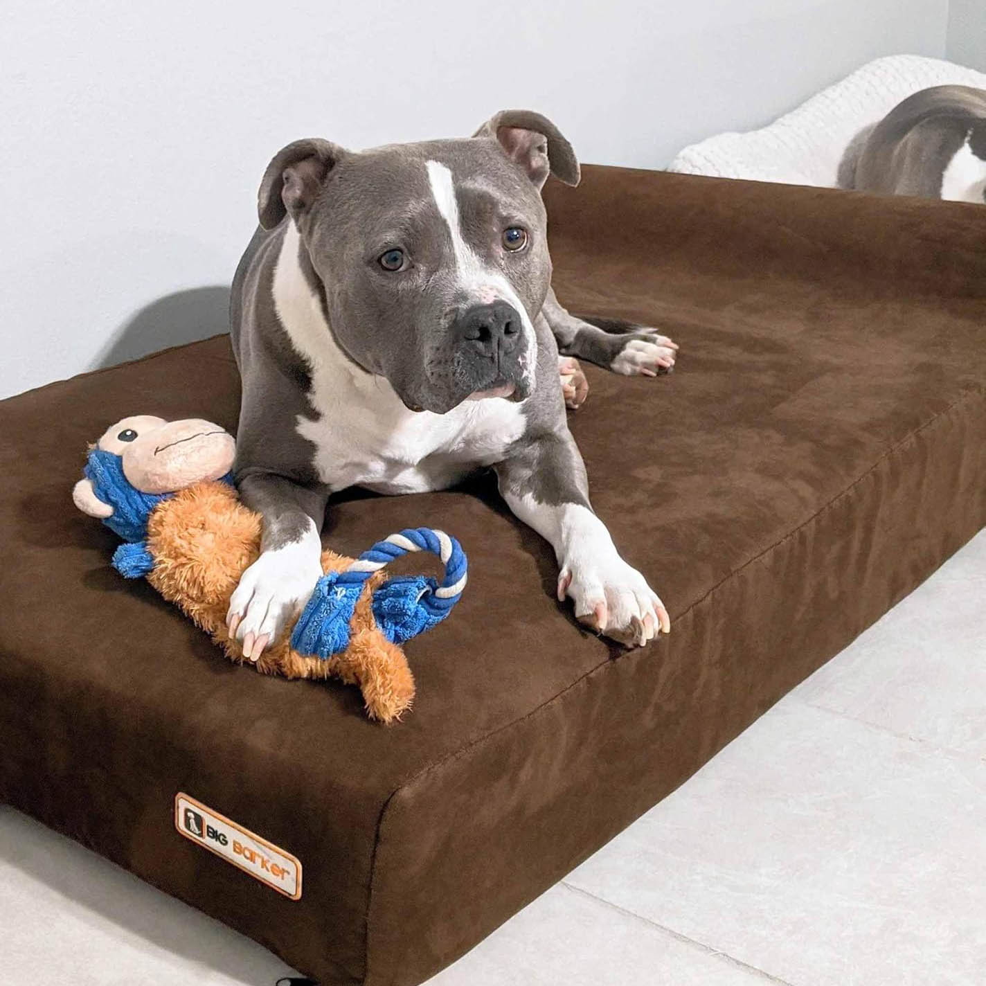 Big Barker 7" Thick Headrest Dog Bed – Orthopedic Foam Bed for Large & Giant Breed Dogs, Vet Recommended, Machine Washable - Image 20