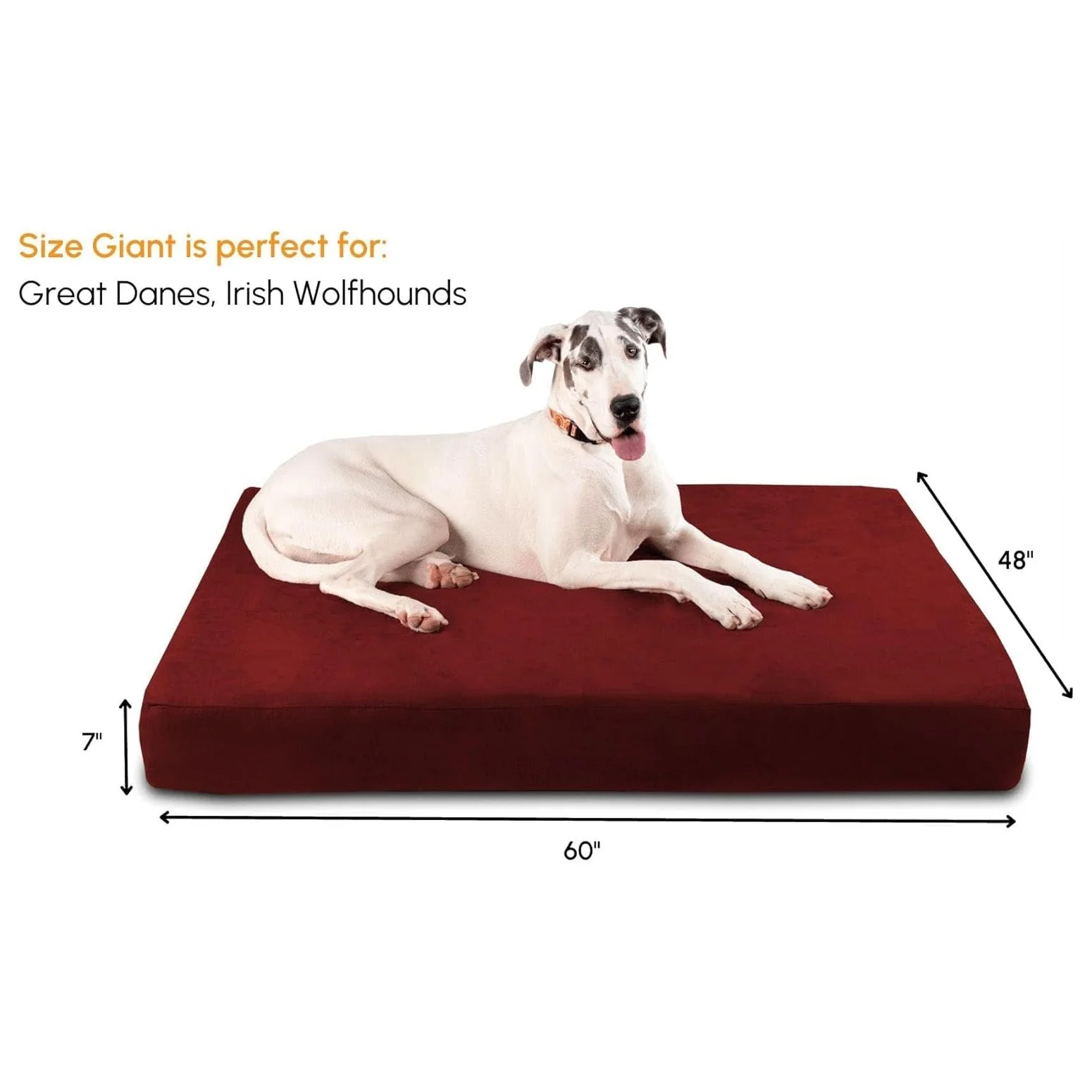 Big Barker Original Sleek Dog Bed, 7" Thick – Orthopedic Foam for Large & Giant Dogs - Image 2