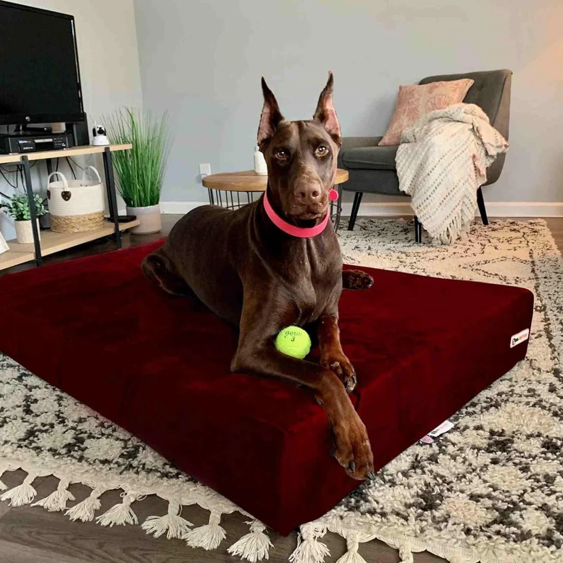 Big Barker Original Sleek Dog Bed, 7" Thick – Orthopedic Foam for Large & Giant Dogs - Image 29