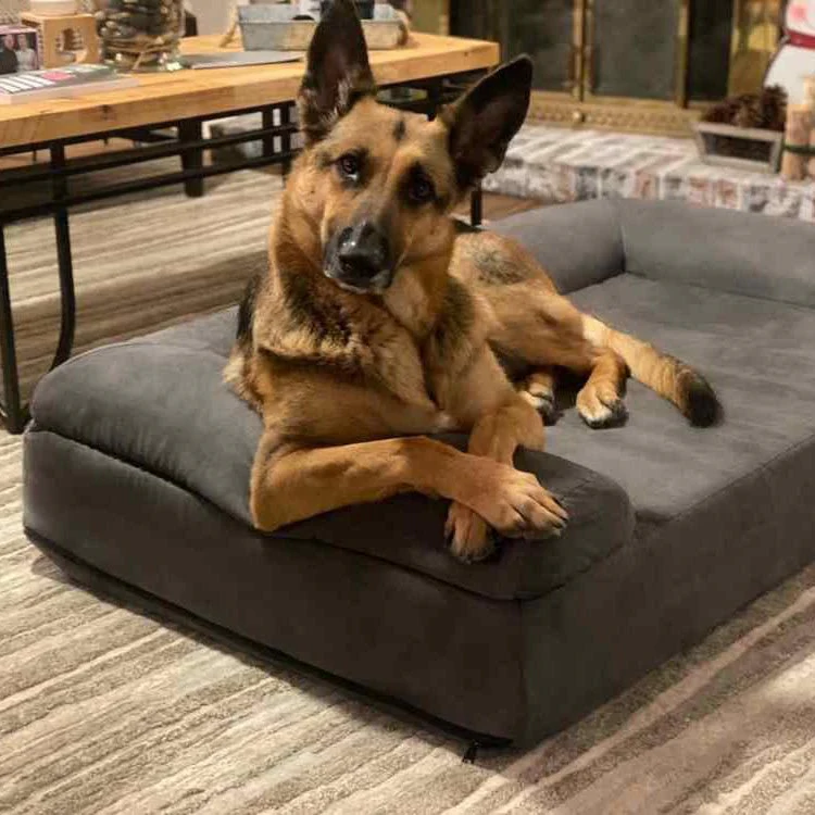 Big Barker 7" Thick Orthopedic Sofa Dog Bed for Large & Giant Breed Dogs – Vet Recommended, Joint Support, Durable Foam - Image 29