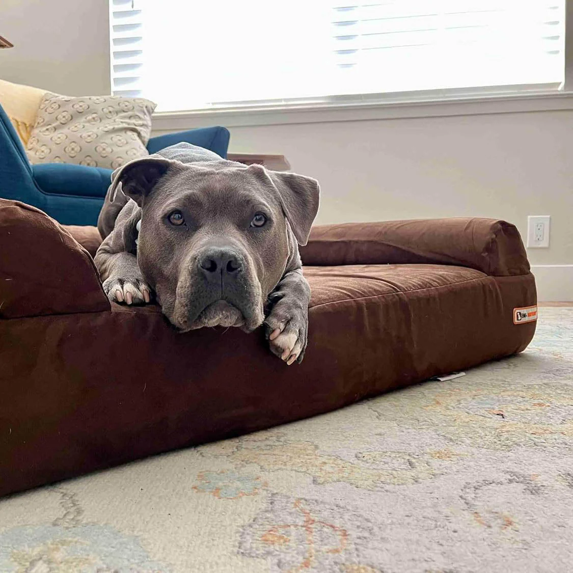 Big Barker 7" Thick Orthopedic Sofa Dog Bed for Large & Giant Breed Dogs – Vet Recommended, Joint Support, Durable Foam - Image 32
