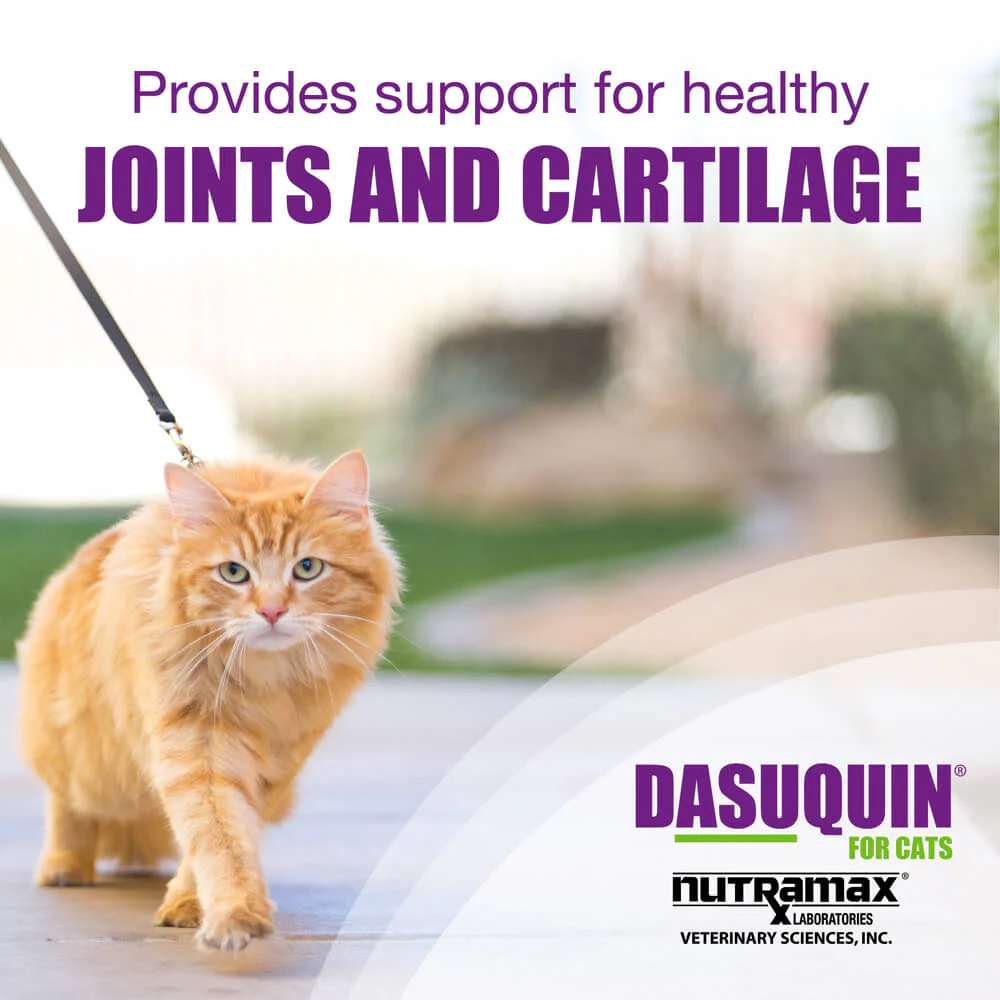Nutramax Dasuquin Joint Health Supplement for Cats, Capsules - Image 6