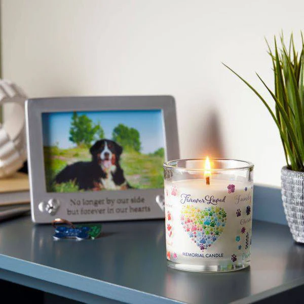 Pet House Candle, 9 oz – Pet Odor Eliminating, Non-Toxic, Long-Lasting, Hand-Poured in USA - Image 24
