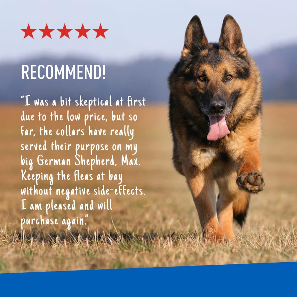 ADAMS Flea & Tick Control Collar for Dogs, 7-Month Protection, Adjustable One Size Collar Fits All - Image 3