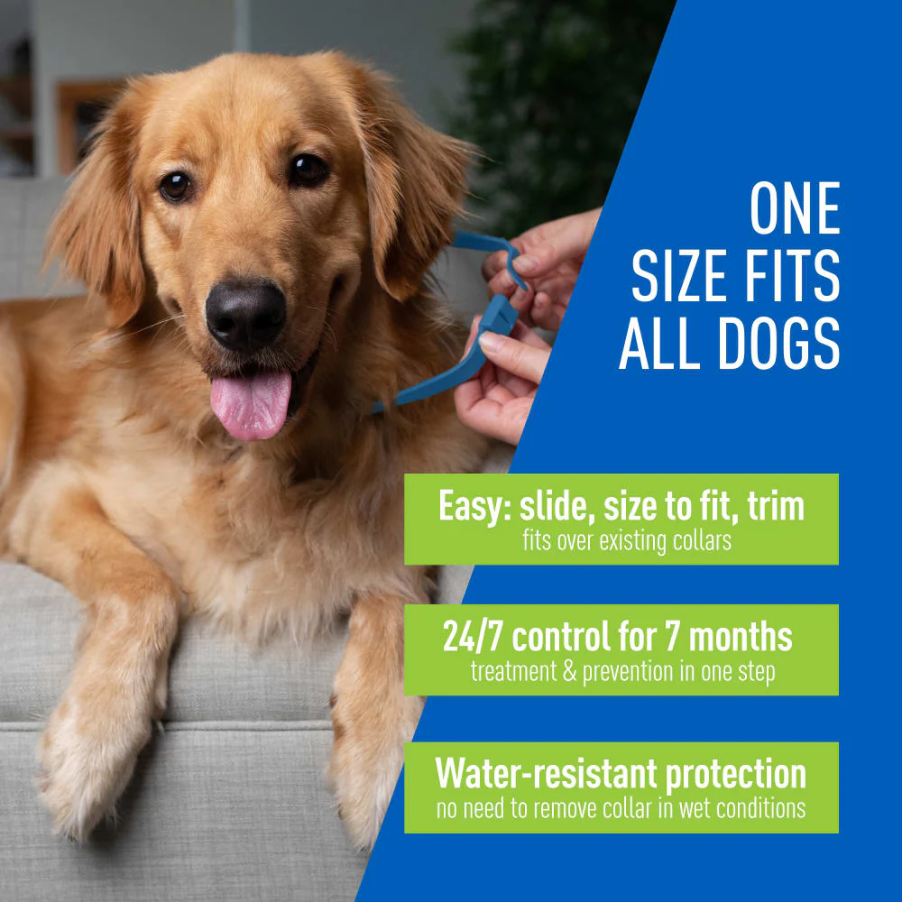 ADAMS Flea & Tick Control Collar for Dogs, 7-Month Protection, Adjustable One Size Collar Fits All - Image 4