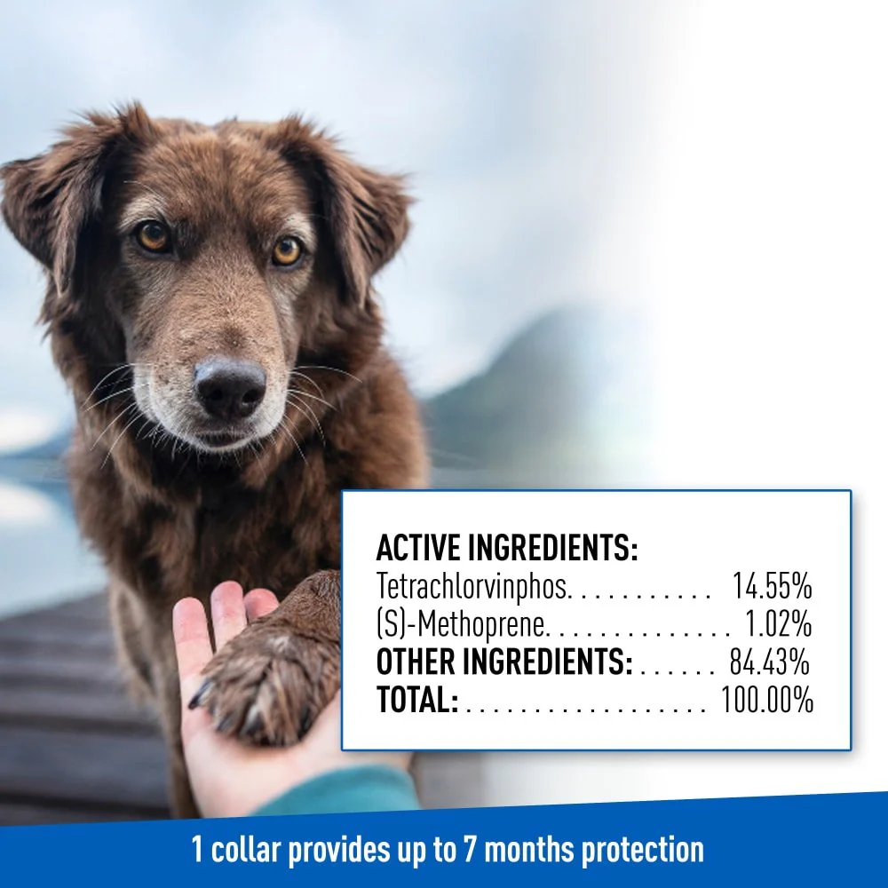 ADAMS Flea & Tick Control Collar for Dogs, 7-Month Protection, Adjustable One Size Collar Fits All - Image 7