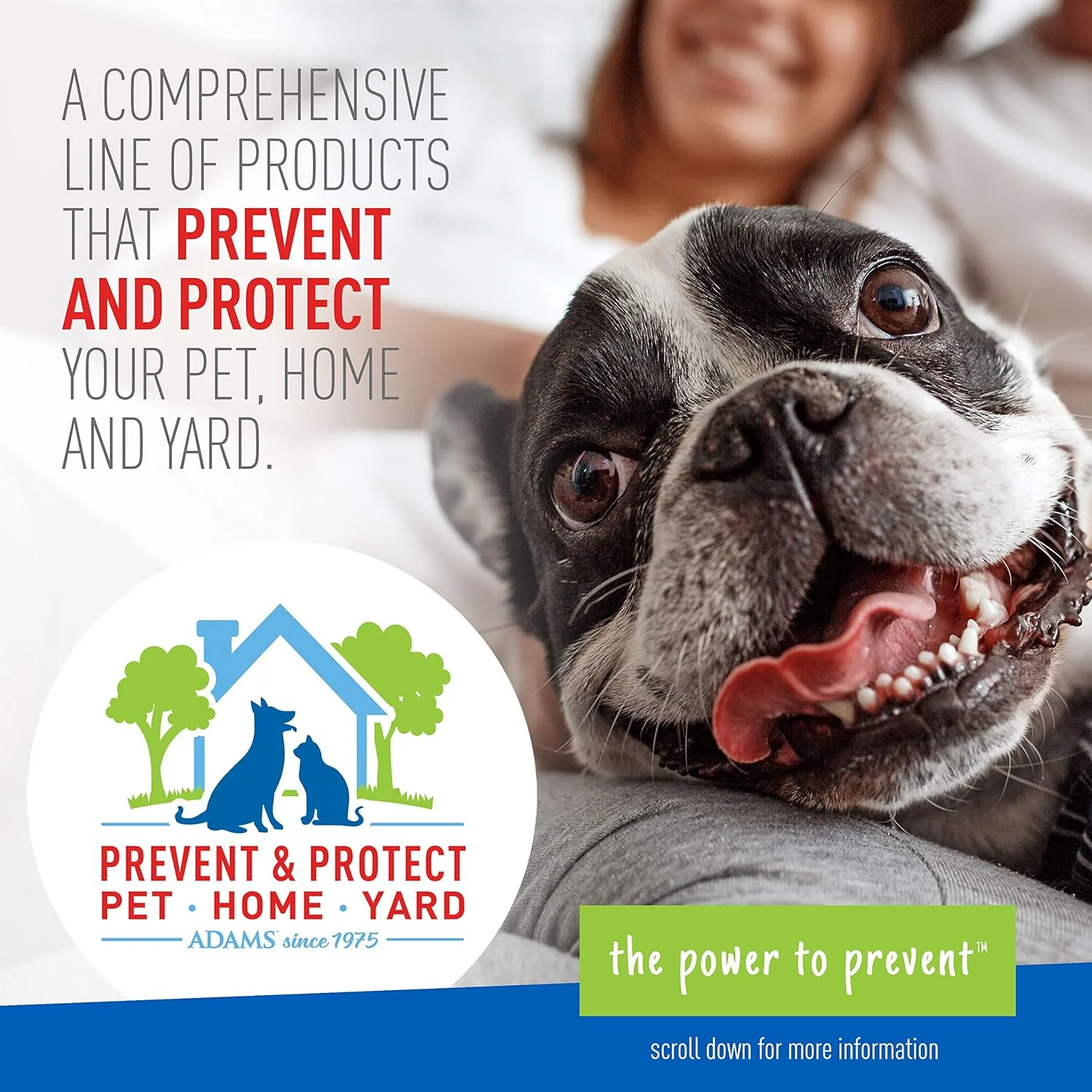 Adams Plus Flea & Tick Carpet Spray, 16 oz - Image 5