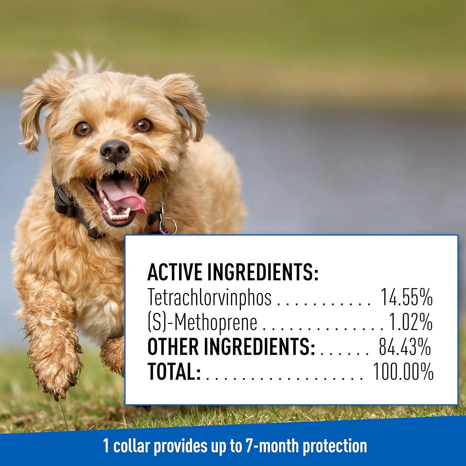 Adams Plus Dog Flea & Tick Collar - Image 10