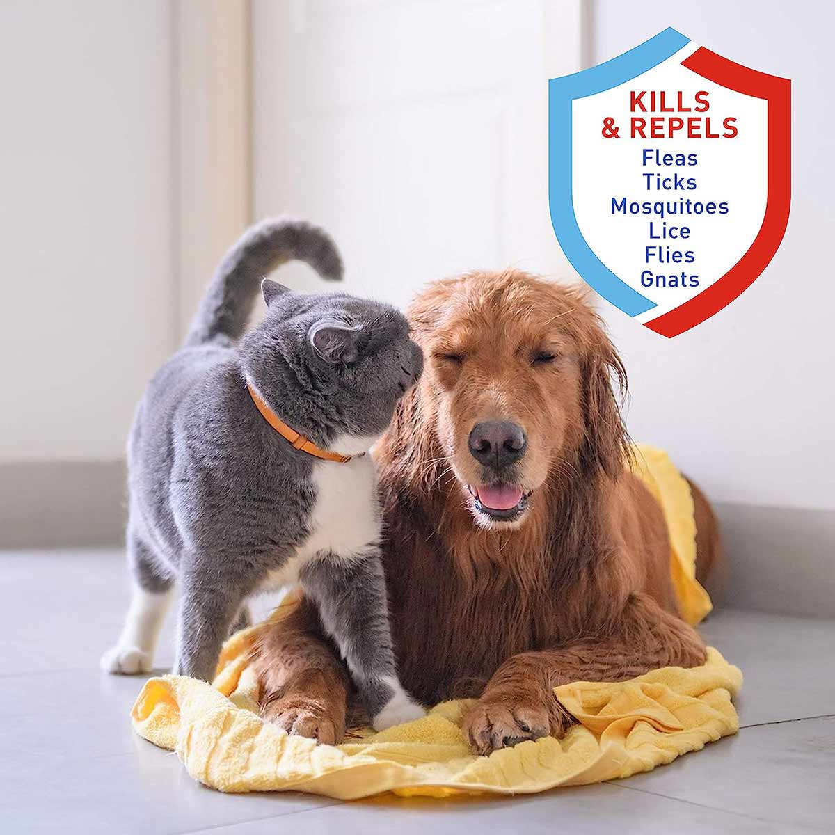 Adams Plus Pyrethrin Flea & Tick Dip for Dogs & Cats, 4 oz - Image 3