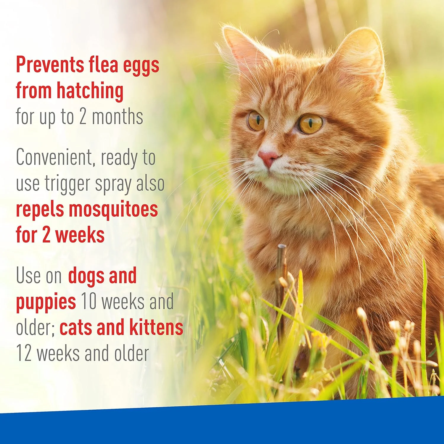 Adams Plus Flea & Tick Spray for Dogs & Cats - Image 11