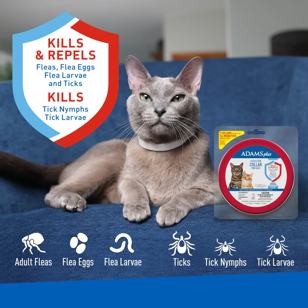 ADAMS Plus Flea & Tick Breakaway Collar for Cats, 2 Pack - 14 Months Protection - Image 2