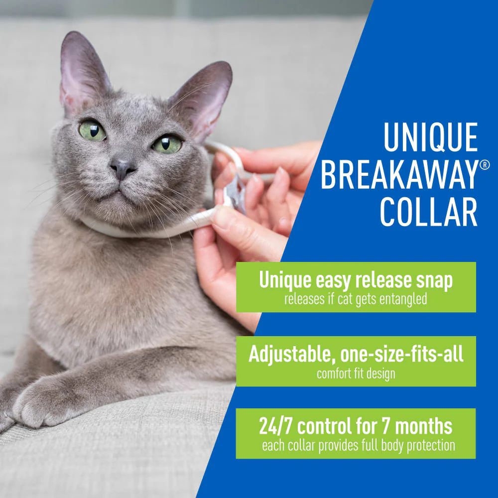 ADAMS Plus Flea & Tick Breakaway Collar for Cats, 2 Pack - 14 Months Protection - Image 3