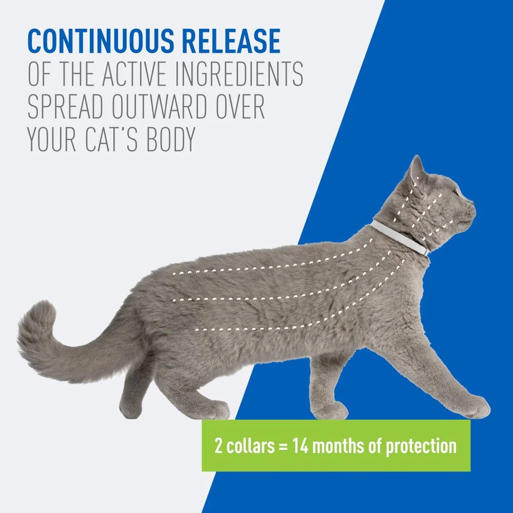 ADAMS Plus Flea & Tick Breakaway Collar for Cats, 2 Pack - 14 Months Protection - Image 4