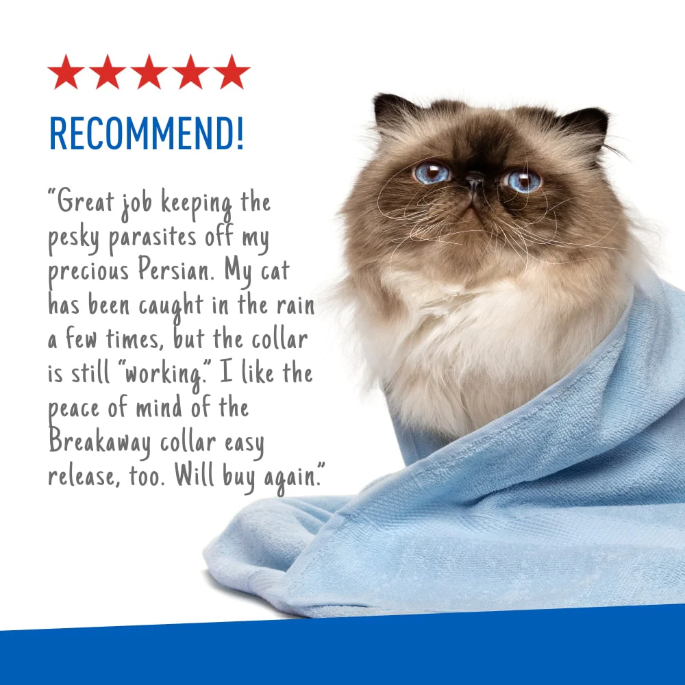 ADAMS Plus Flea & Tick Breakaway Collar for Cats, 2 Pack - 14 Months Protection - Image 5
