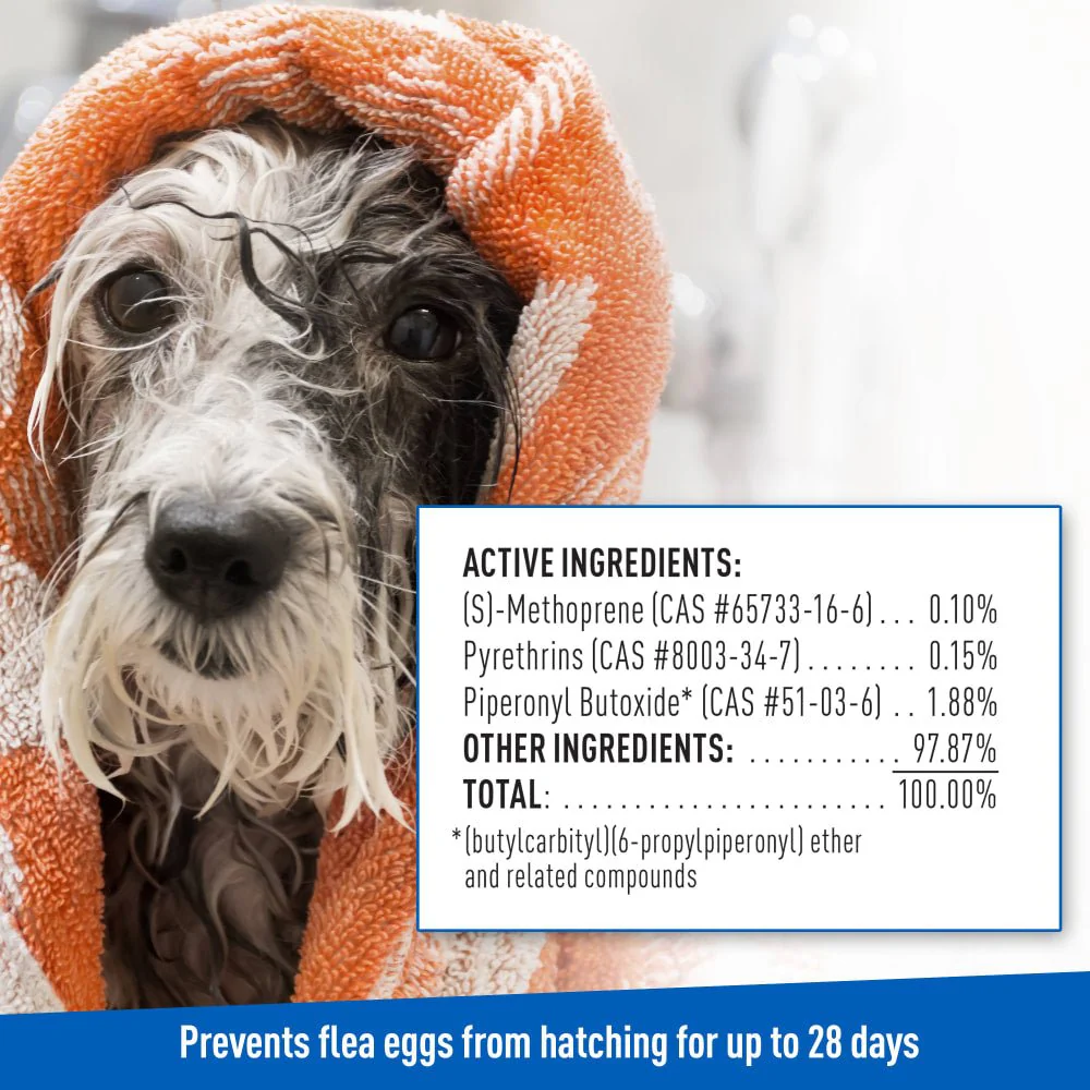 ADAMS Plus Flea & Tick Foaming Shampoo & Wash for Dogs & Puppies Over 12 Weeks, Sensitive Skin Flea Treatment, 10 oz - Image 6