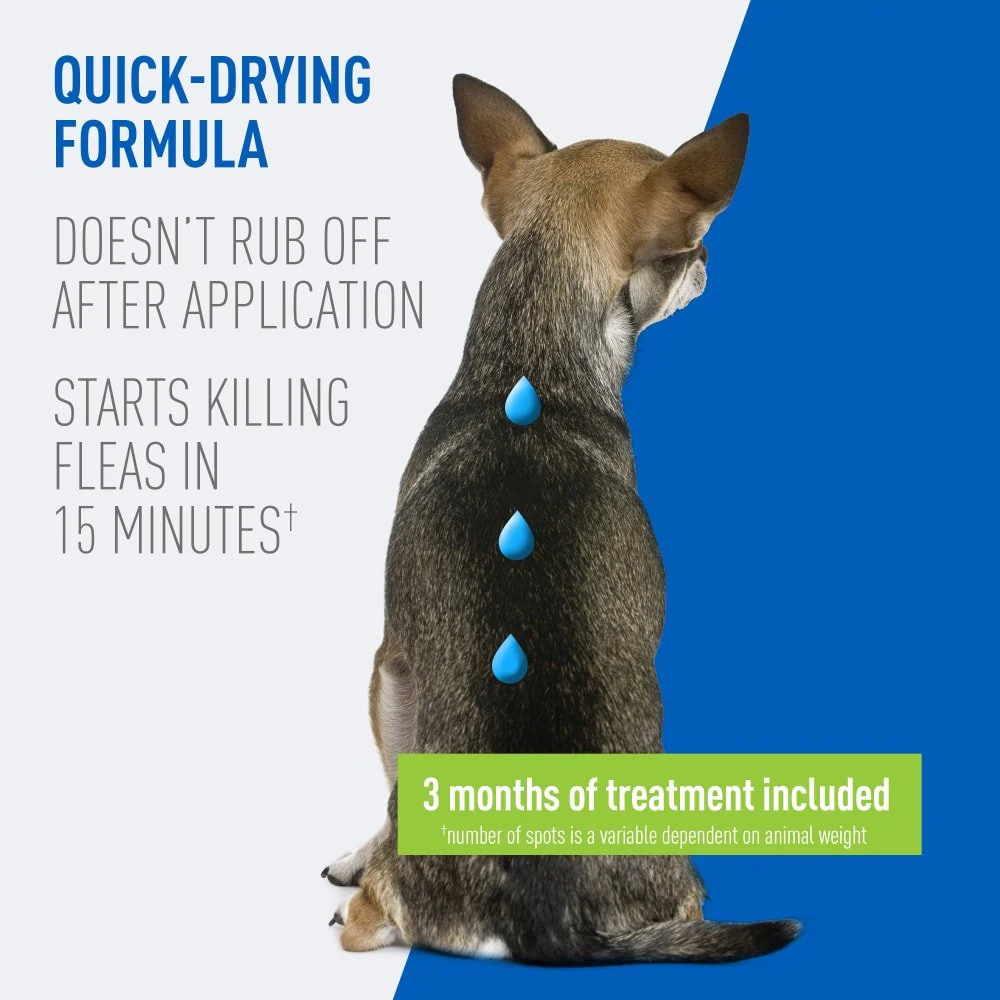 ADAMS Plus Flea & Tick Prevention Spot On for Dogs - Image 5