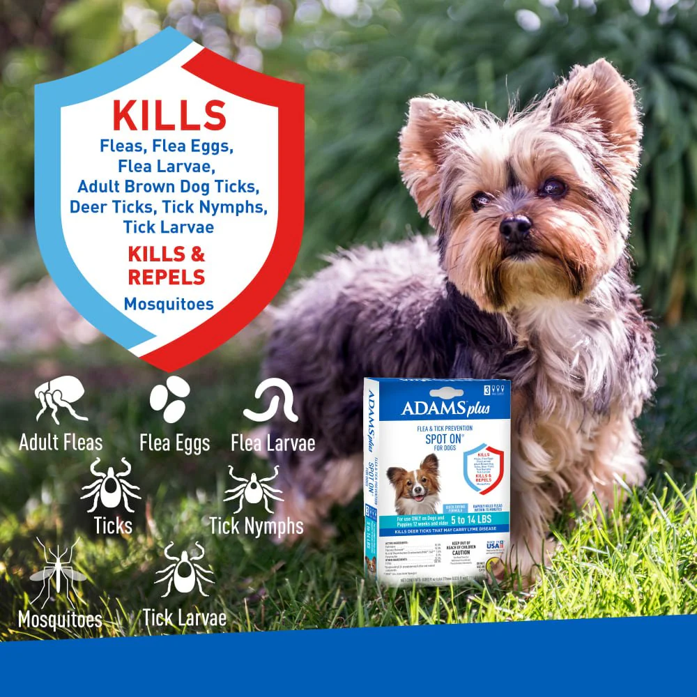 ADAMS Plus Flea & Tick Prevention Spot On for Dogs - Image 9