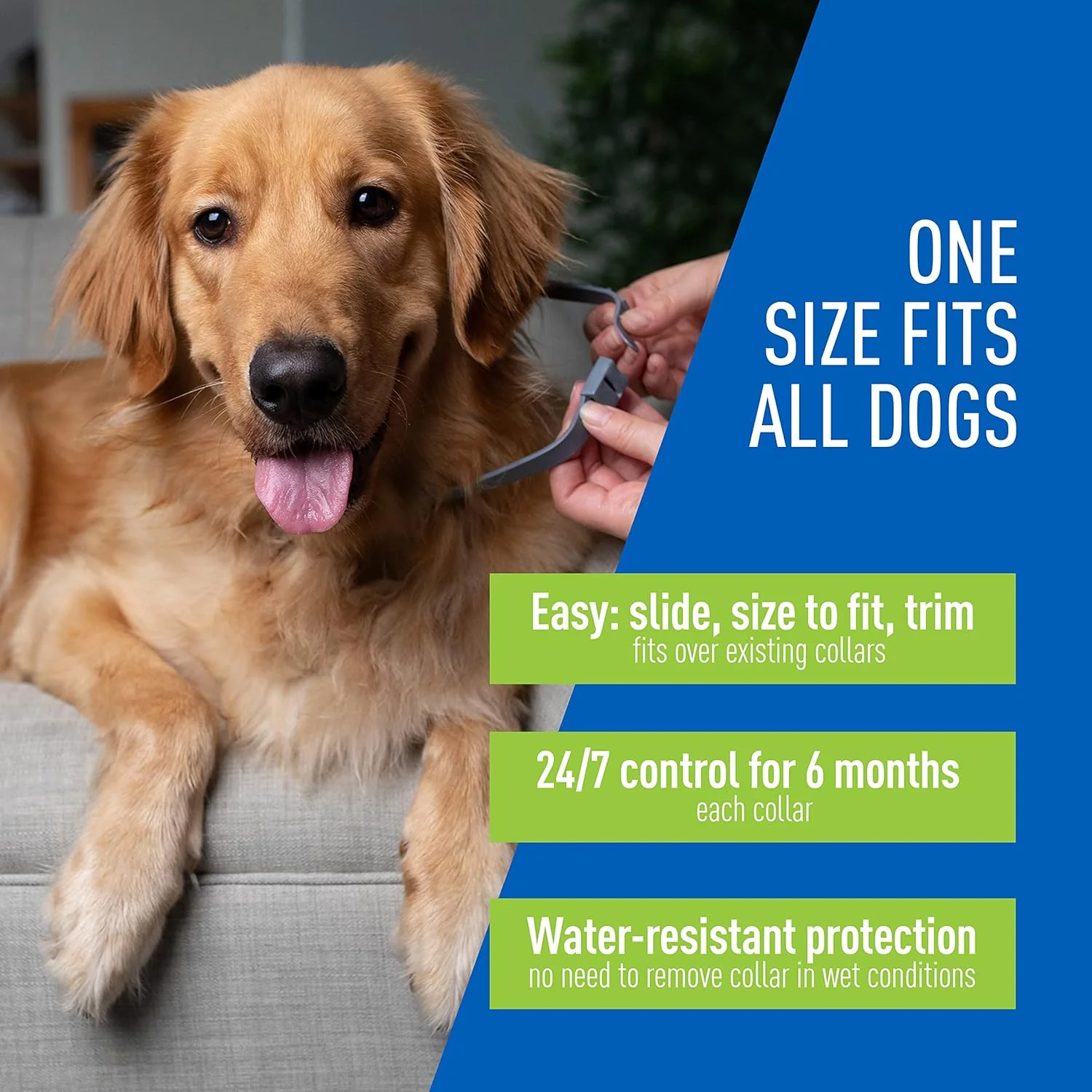 Adams Premium Flea & Tick Collar Plus for Dogs (2 pk/Gold Tin) - Image 3