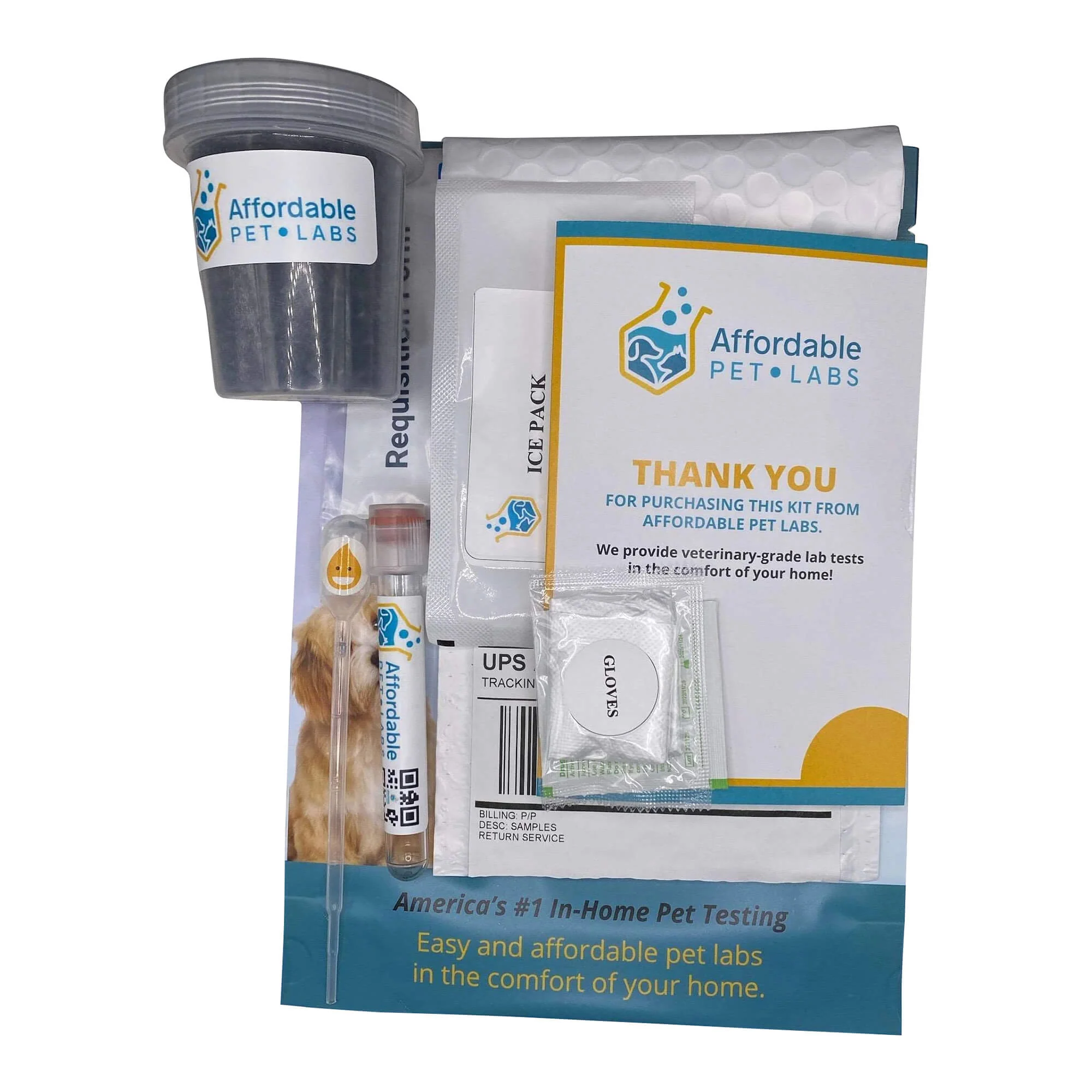 Affordable Pet Labs - Combo Complete Urinalysis & Fecal Test For Dogs, Easy Home Kit - Image 4