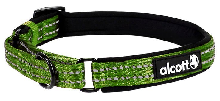 alcott Martingale Collar for Dogs - Image 11
