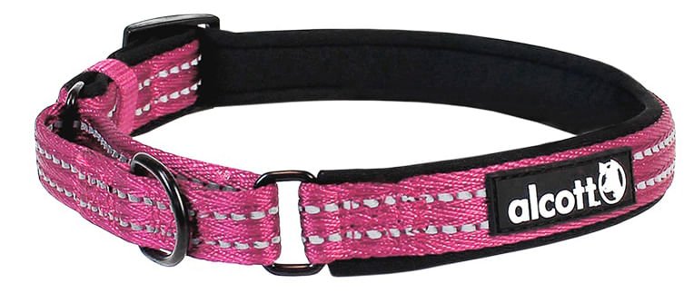 alcott Martingale Collar for Dogs - Image 12