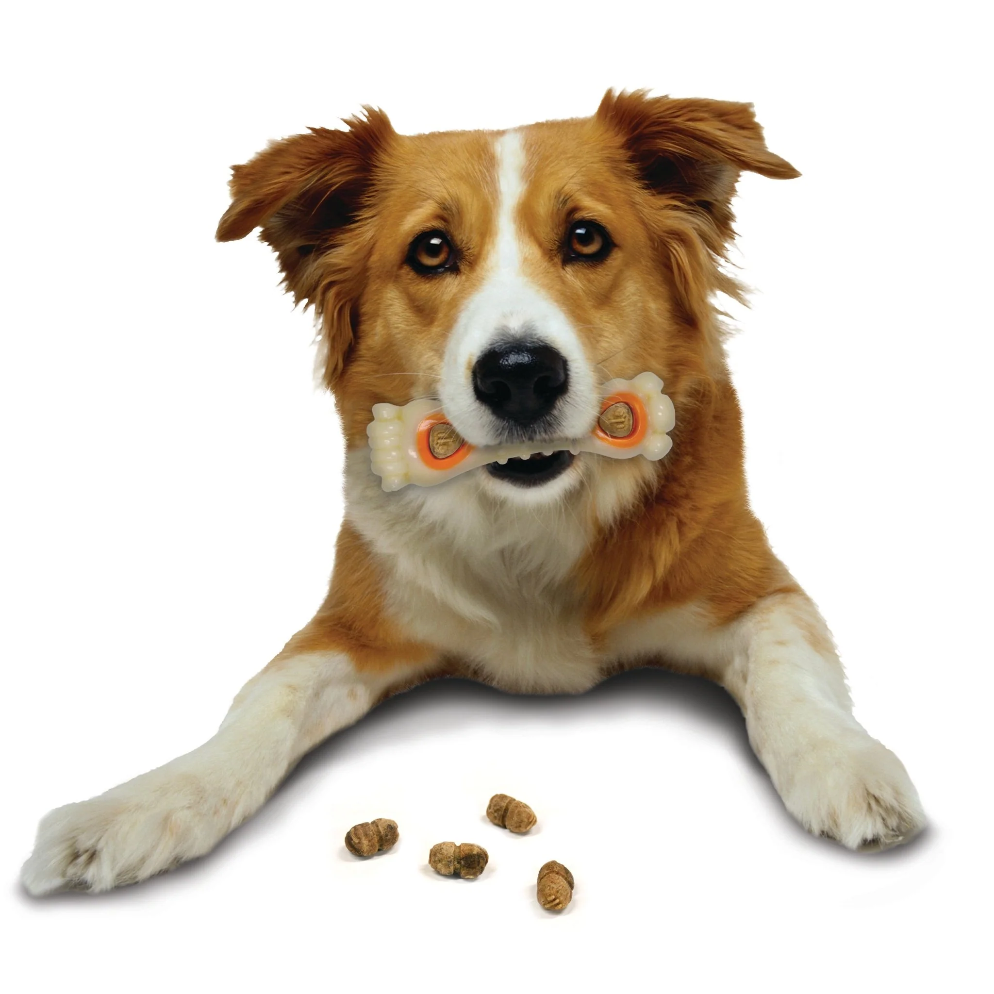 All-Natural Pop-In Dog Treat Refills, Chicken, All Sizes, 30 ct - Image 7