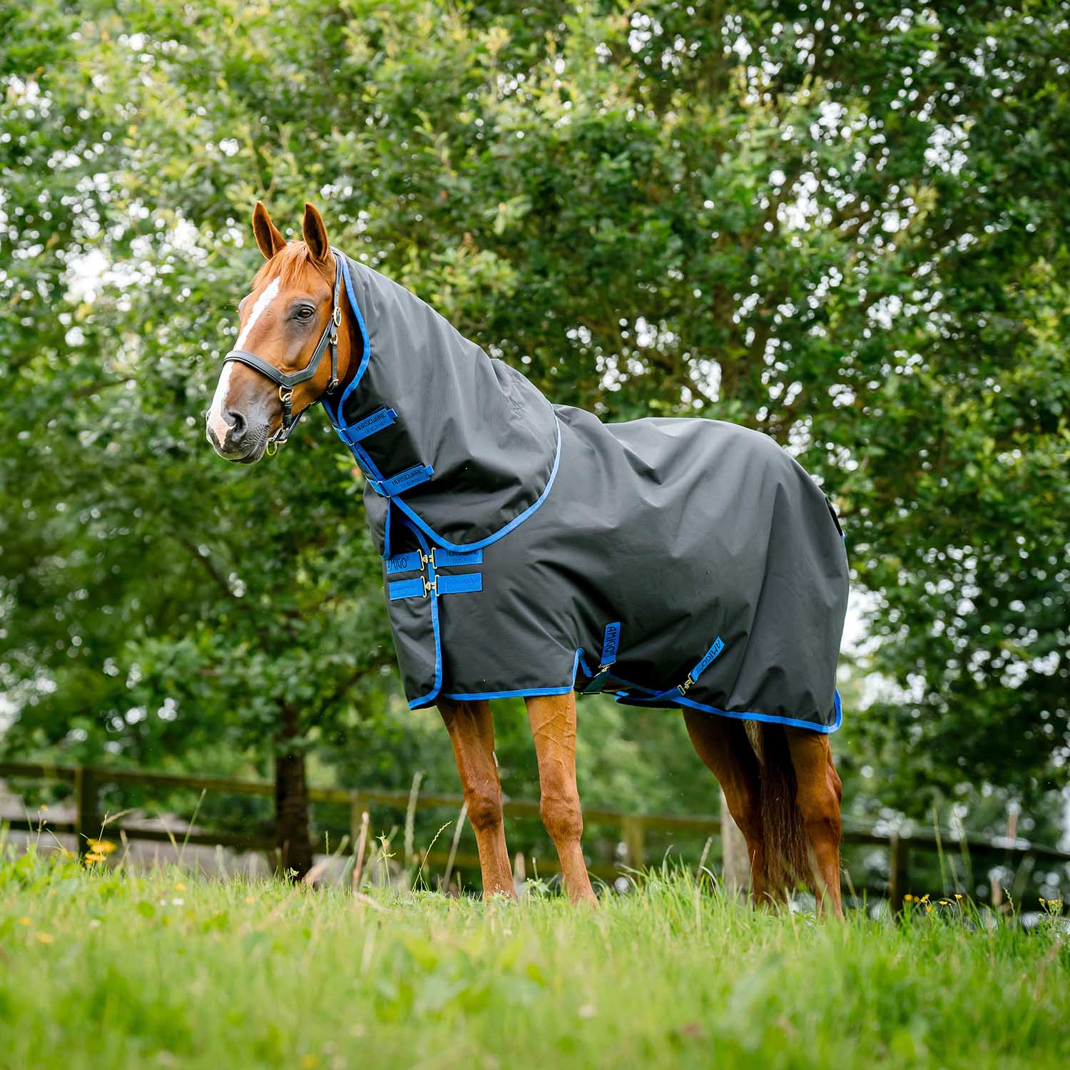 Amigo Ripstop 900D Plus Horse Turnout Blanket - 200g Medium Weight, Waterproof with Detachable Hood