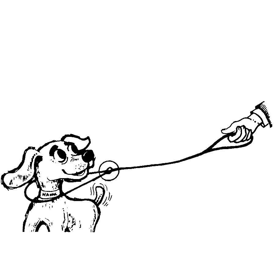 Jeffers Animal Control Slip Dog Lead, Braided Poly, 6'L - Image 4