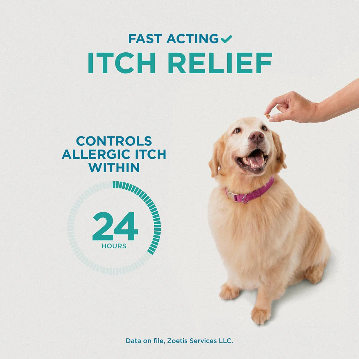 Rx Apoquel (oclacitinib) Chewable Tablets for Dogs - Image 17