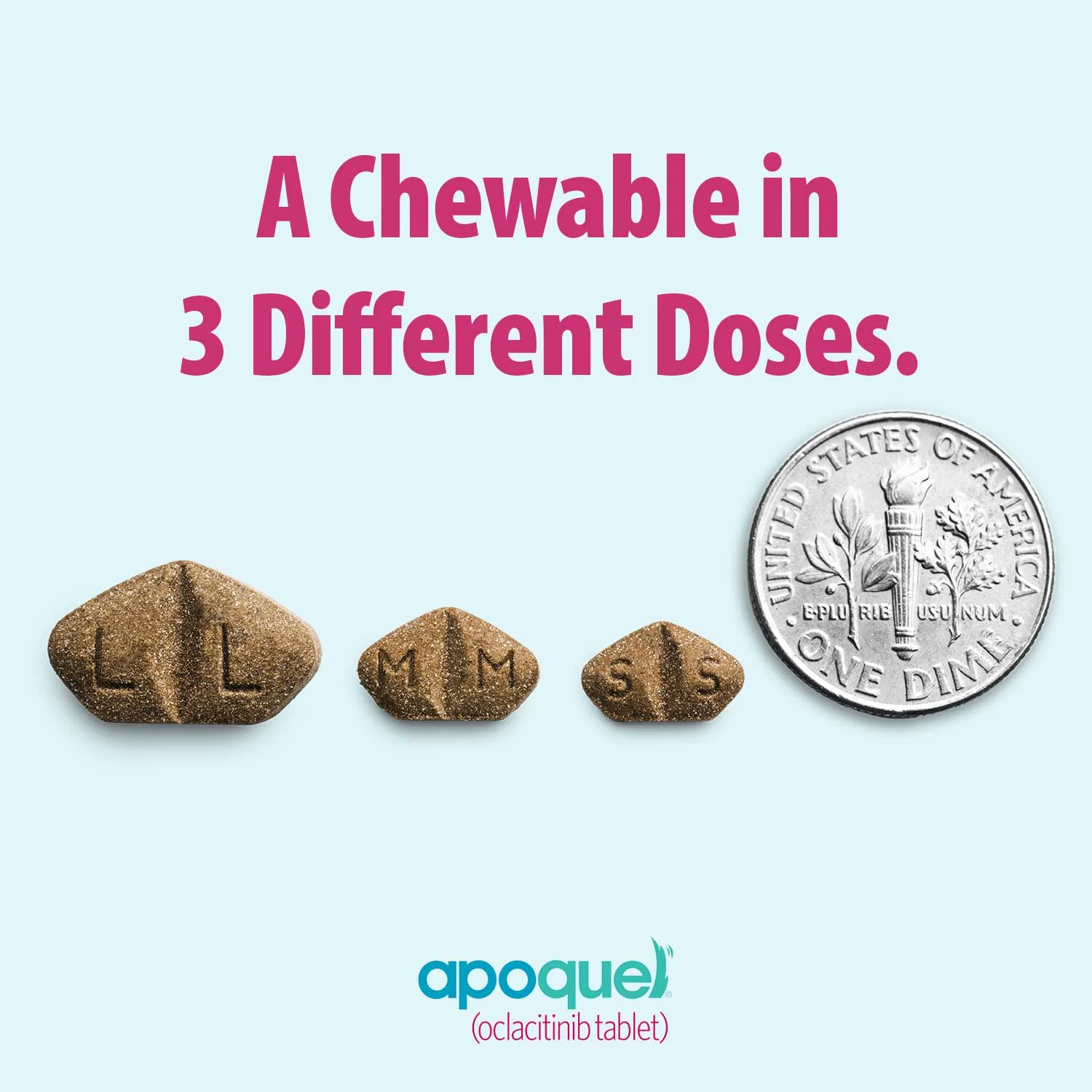 Rx Apoquel (oclacitinib) Chewable Tablets for Dogs - Image 4