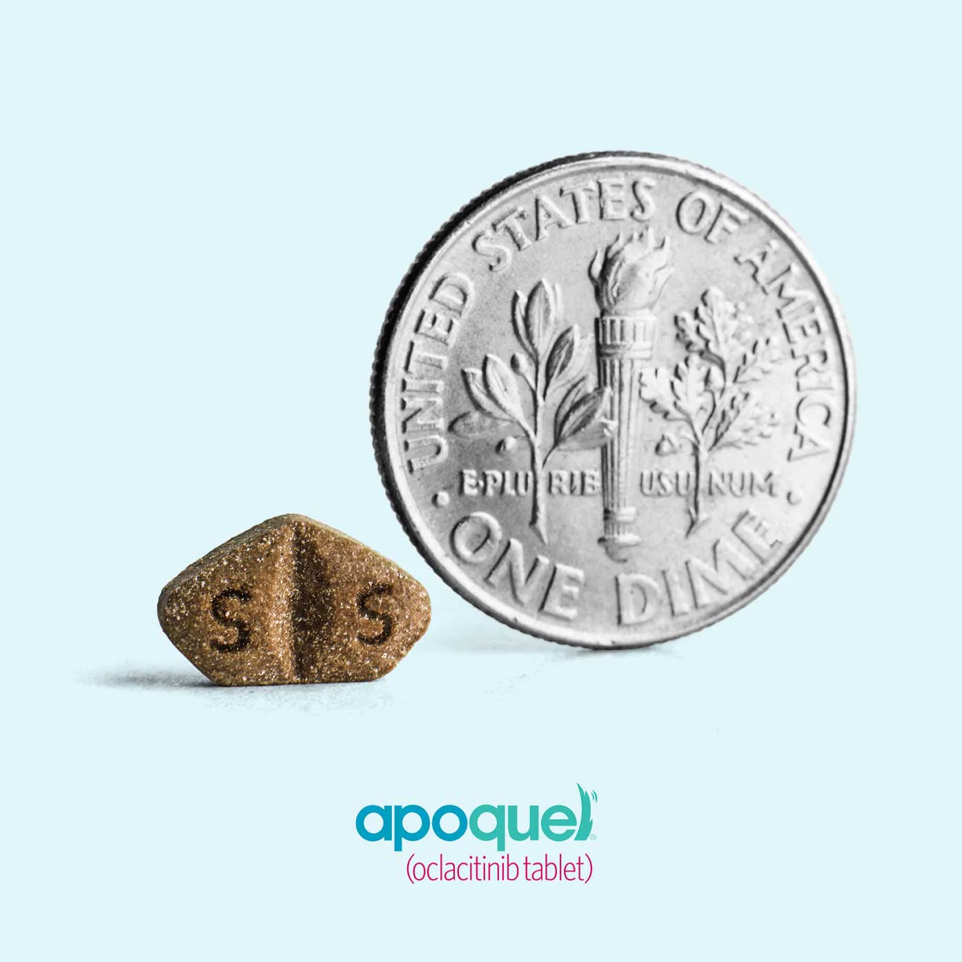 Rx Apoquel (oclacitinib) Chewable Tablets for Dogs - Image 44