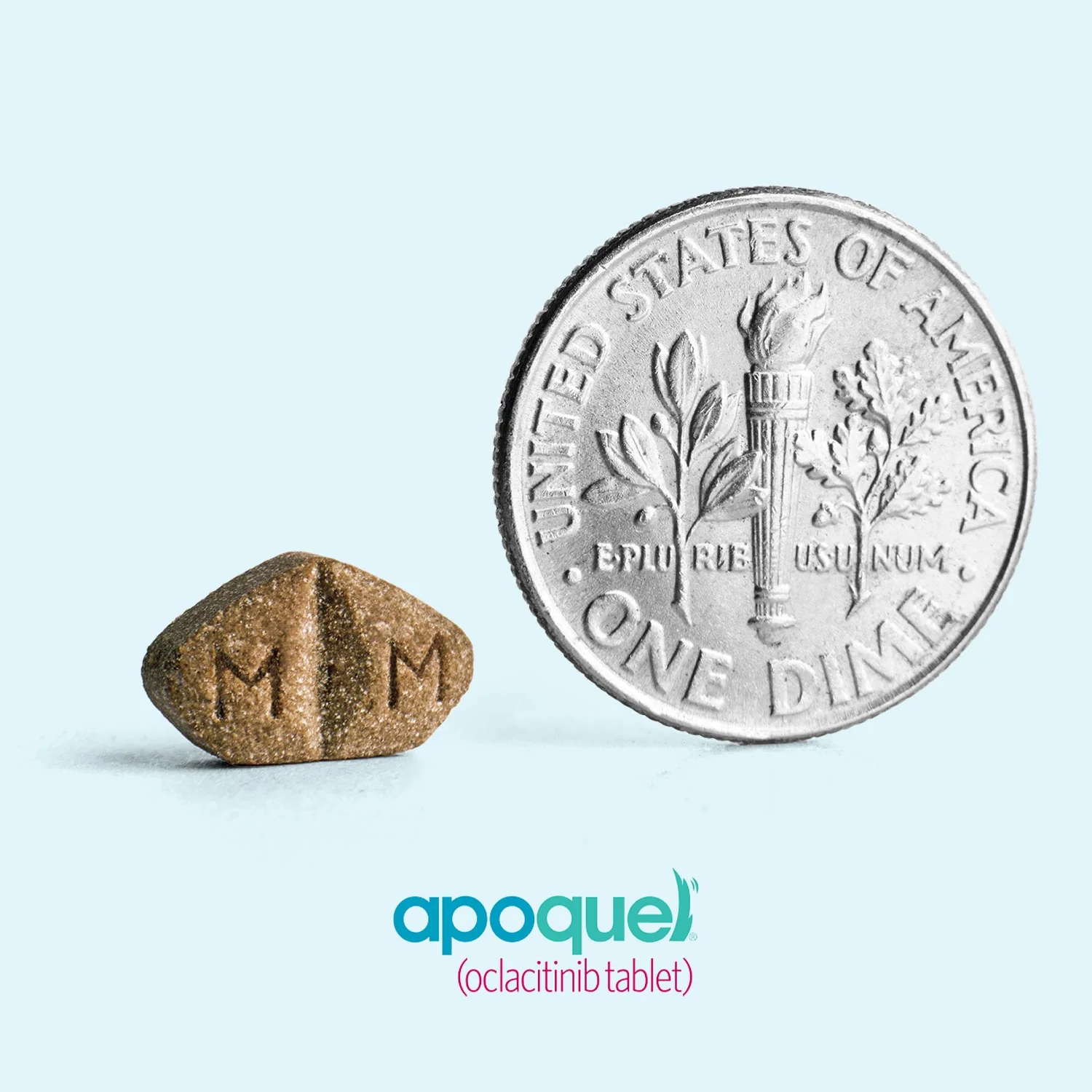 Rx Apoquel (oclacitinib) Chewable Tablets for Dogs - Image 63
