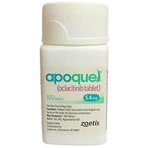 Rx Apoquel (oclacitinib) Tablets for Dogs by Zoetis - Image 6