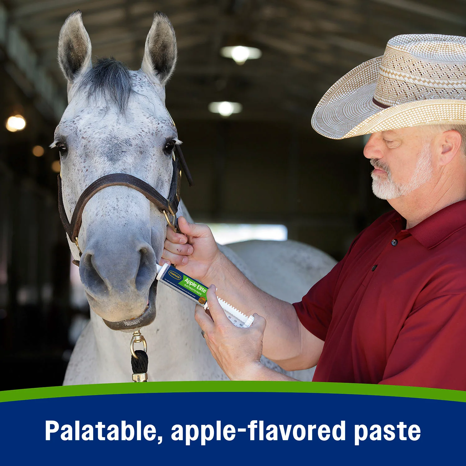 Apple Elite Paste Electrolyte, 60 cc - Image 6